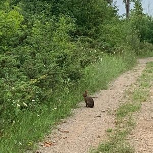 Meet your Posher, Deb